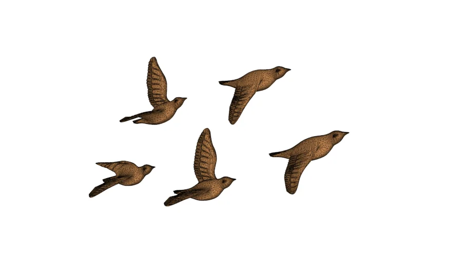 bird