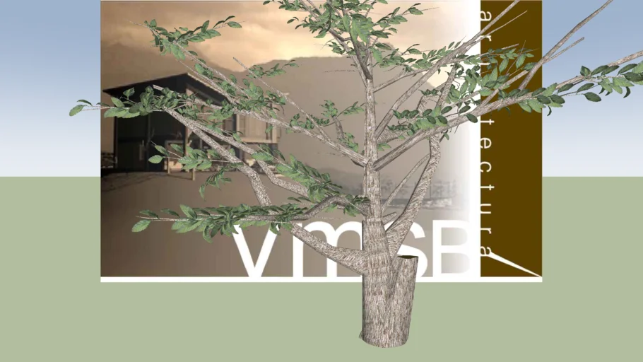 vmsb_arbol_3d_020708.skp (881 kB)