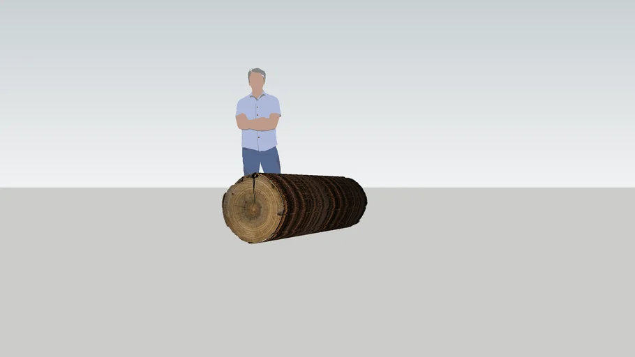 wood log