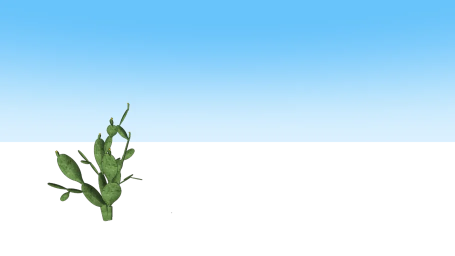 nopal