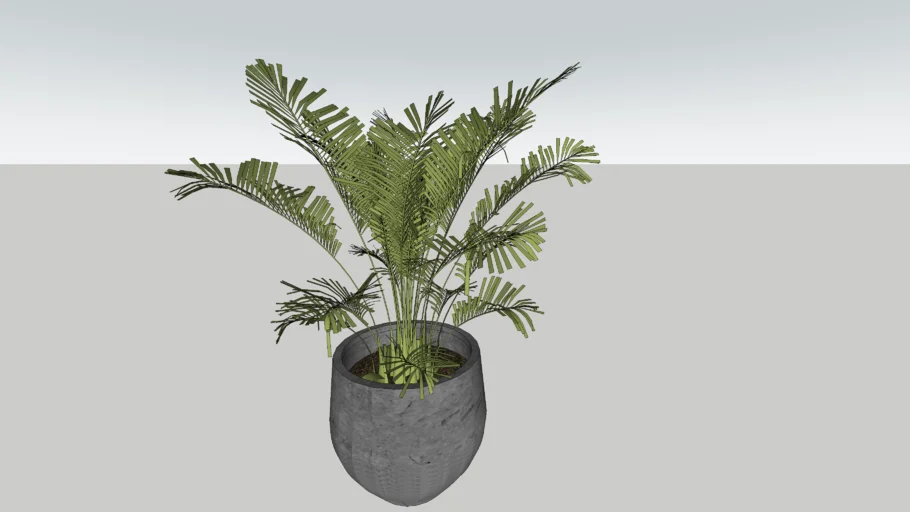 pot plant/ vase plant/ palm