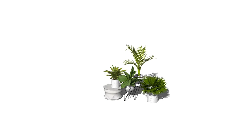 Chậu cây cảnh đẹp