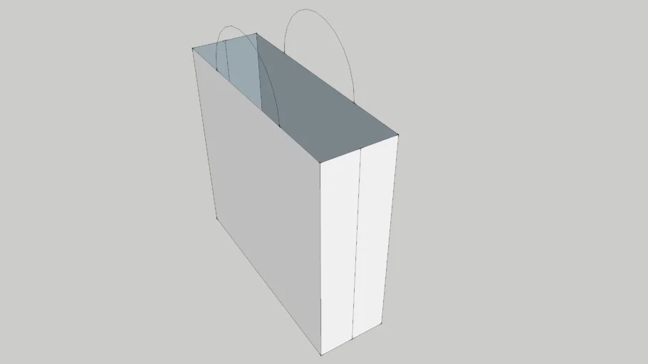 Shopping Bag