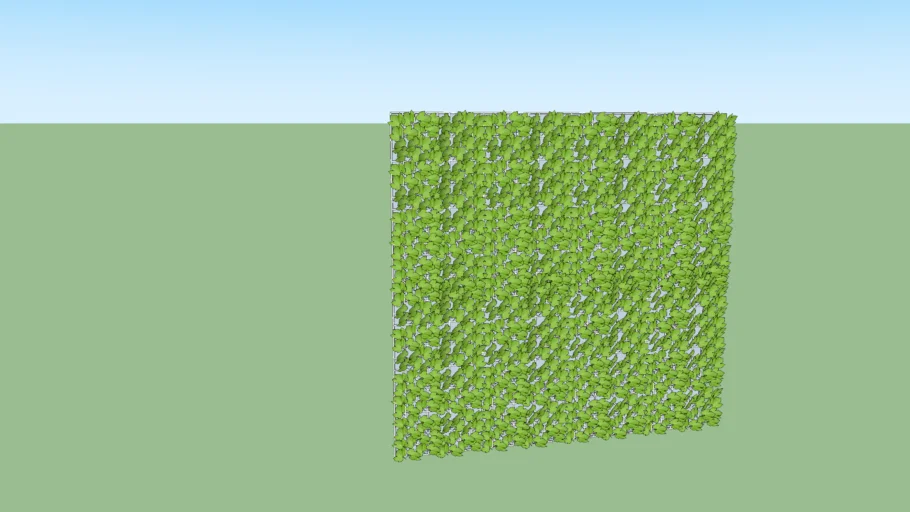WALL VINES