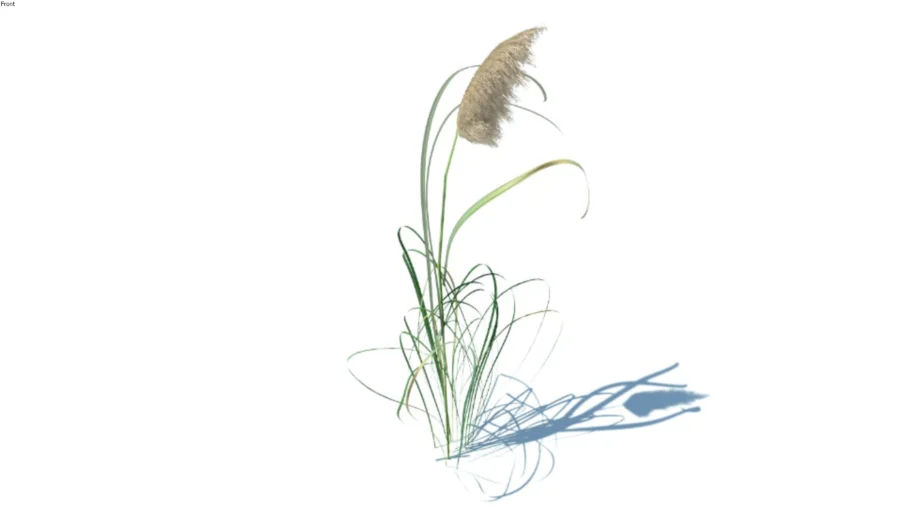 Grass, hight poly, vray ready (130)