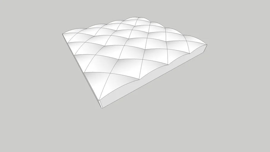 cushion inner
