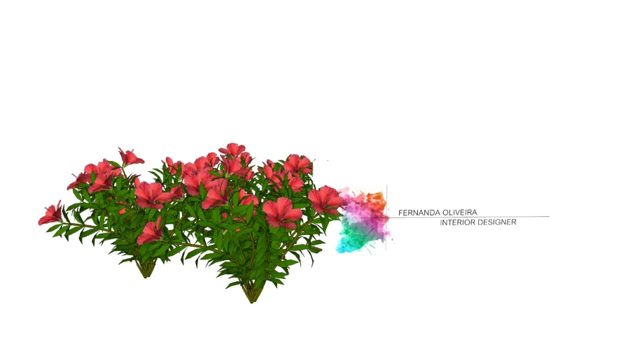 Buxinho com Flores