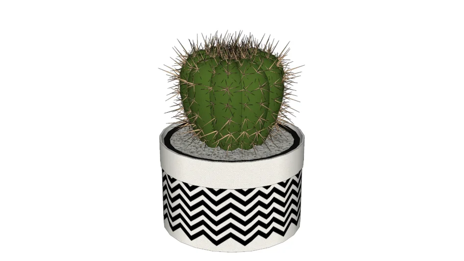Cactus