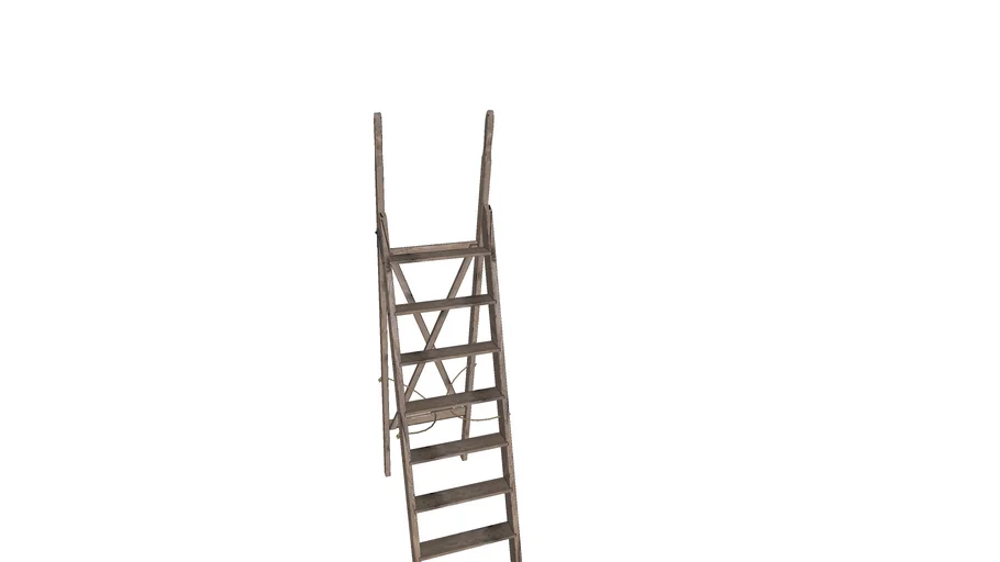 Rustic Ladder