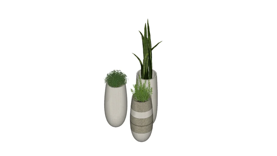 Vasos de planta