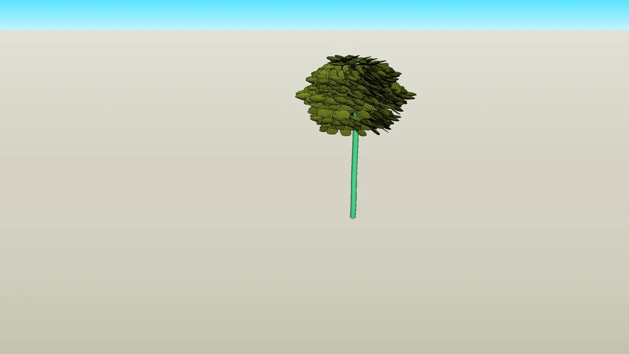 ficus green island פיקוס גרין איילנד