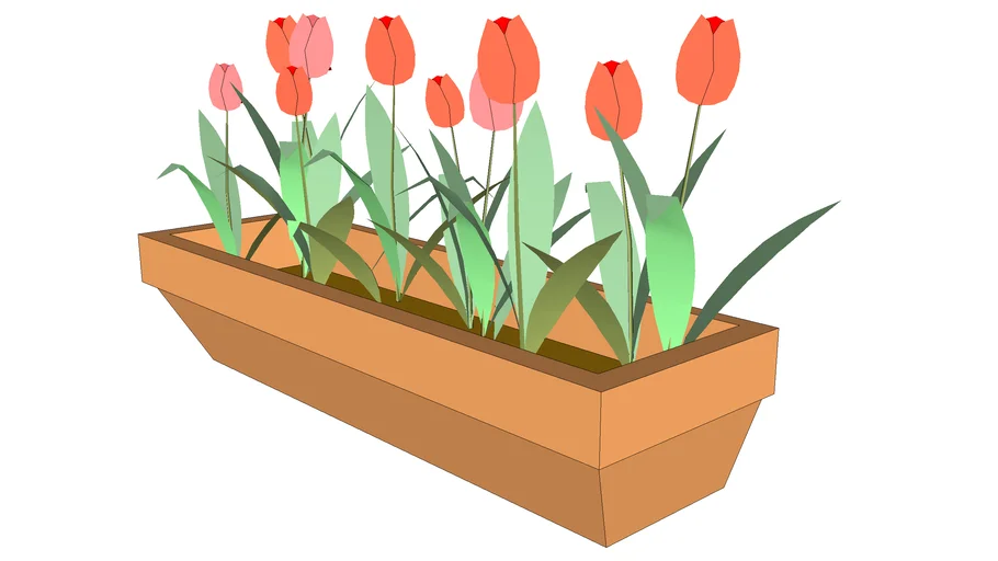 planter window