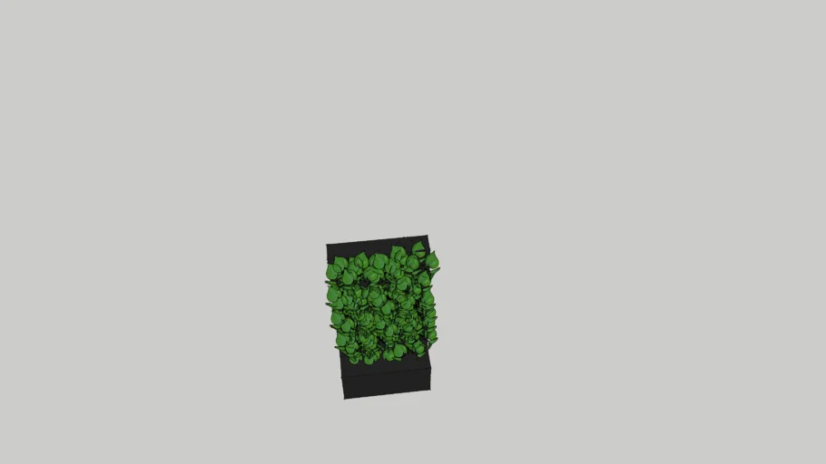 Plant Box