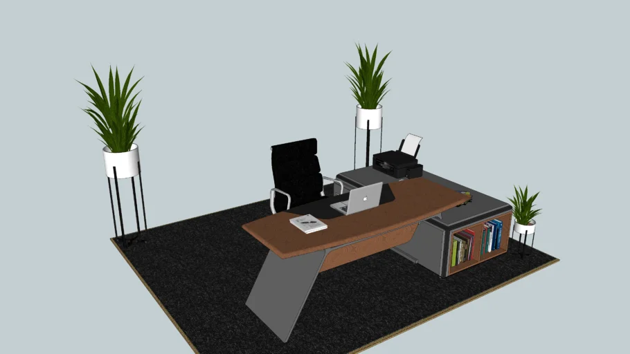 Director Table