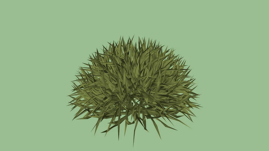 ARBUSTO 01