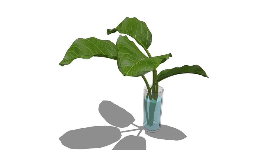 Arranjo Flores