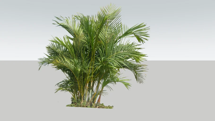 planter box tree | 3D Warehouse