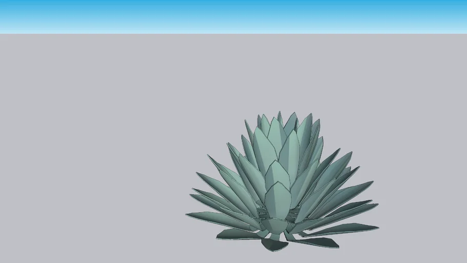 Agave Azul