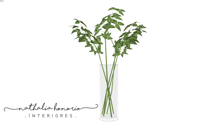 Planta Decor