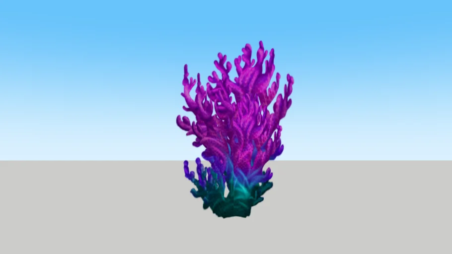 Coral