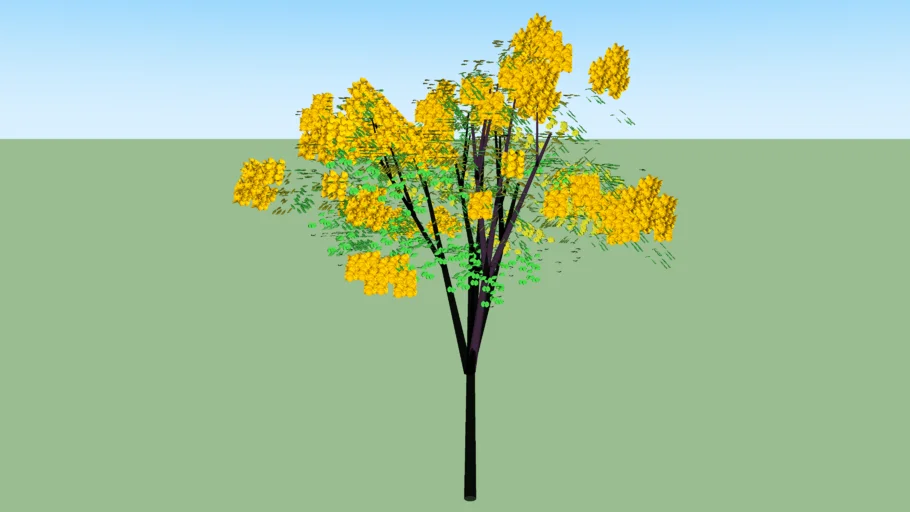 lapacho amarillo