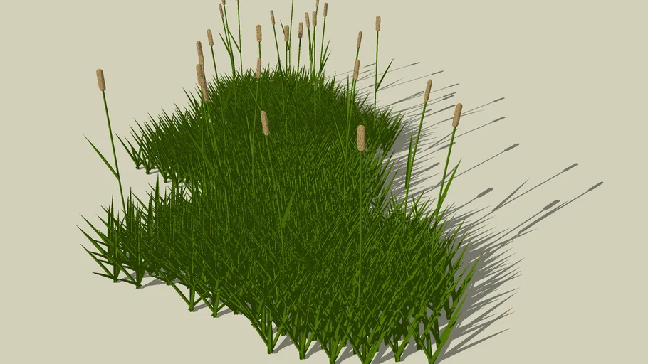 grass 1