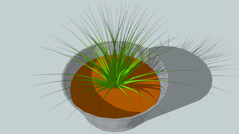 PLANT