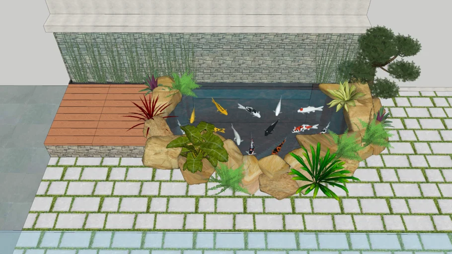 koi-pond