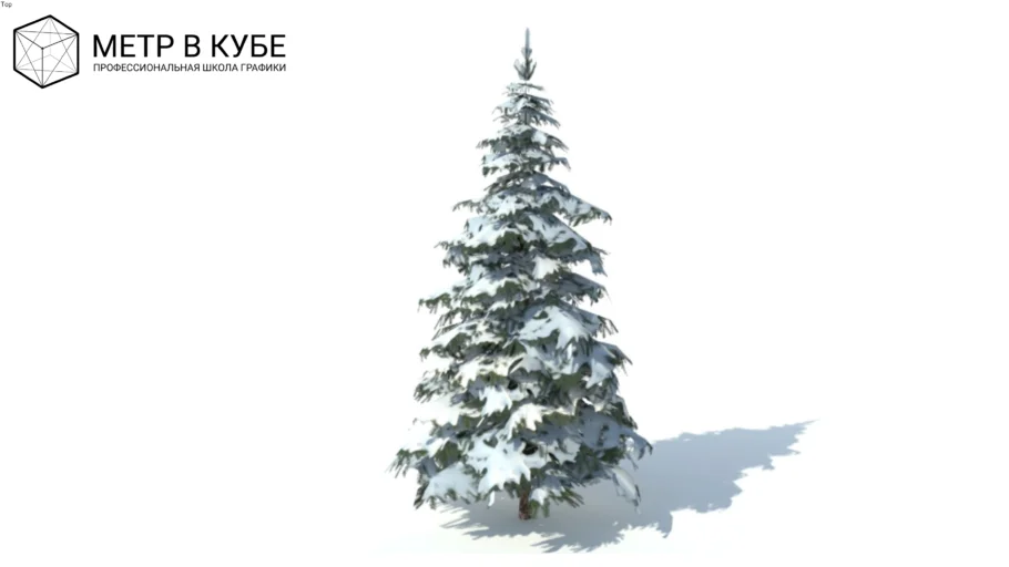 Low poly 3d tree winter spruce (029)