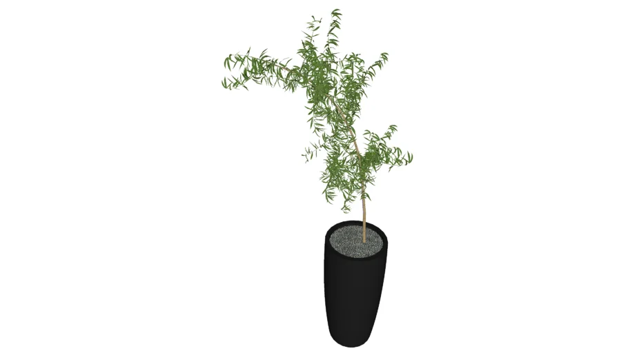 Vaso Bambu Mossô