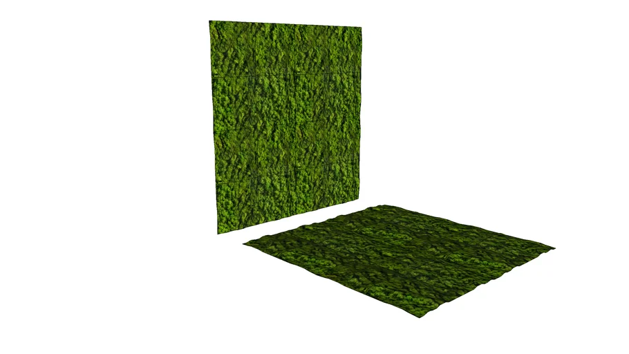 Moss Wall by Pooh