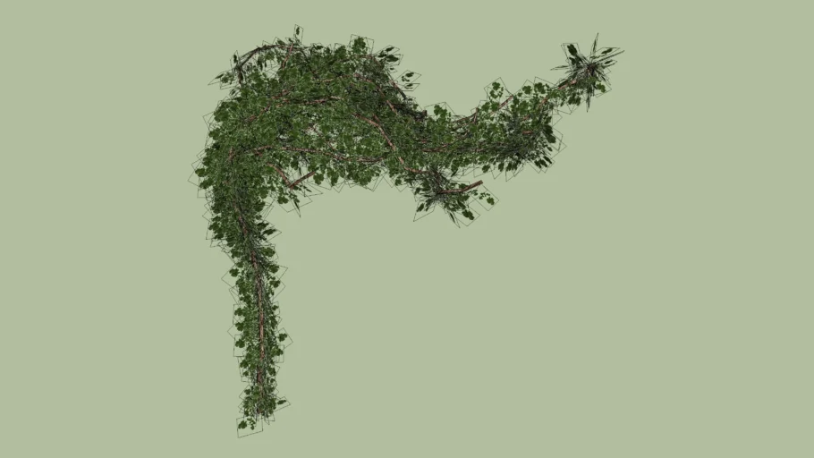 VINE