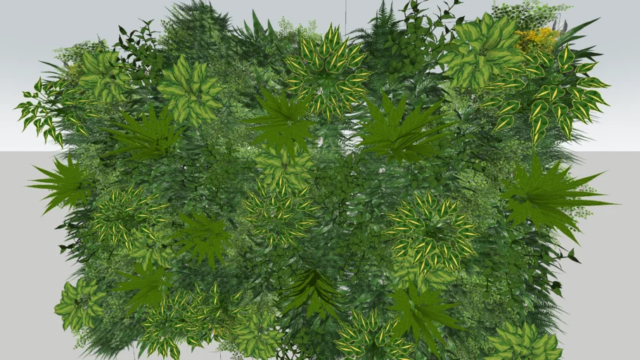 green wall