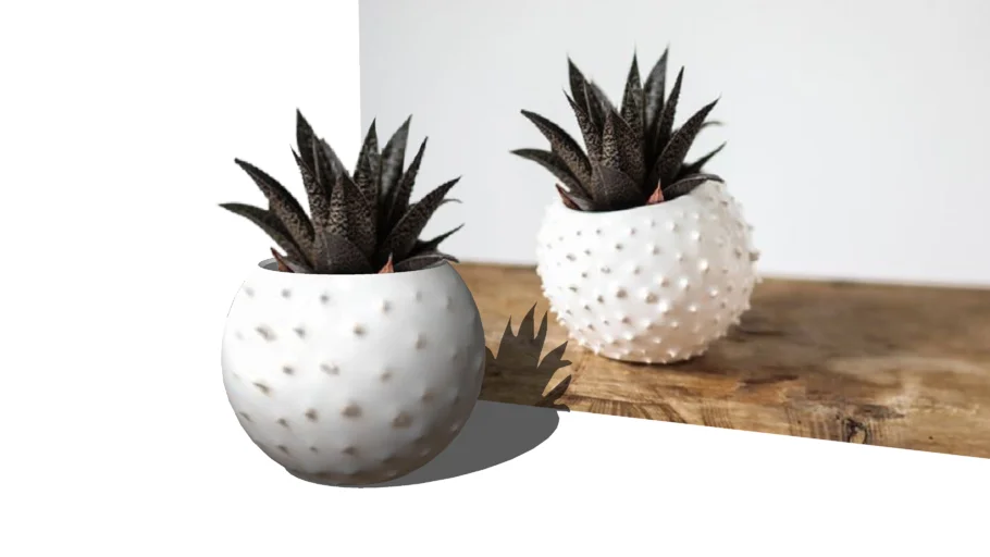 Potted Plant