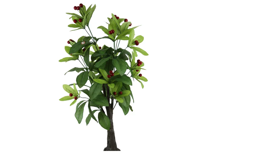 fruit tree - 01