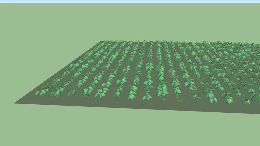 Agriculture