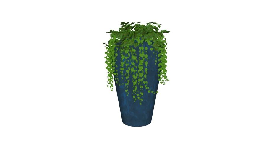 VASO VIETNAMITA