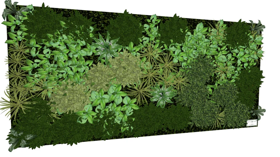 Wall Plants