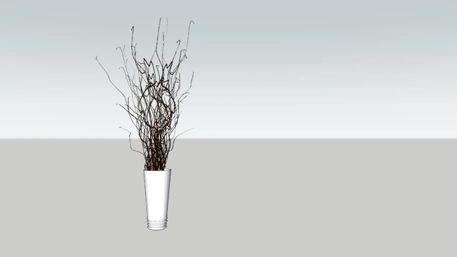 Decorative Indoor Plant