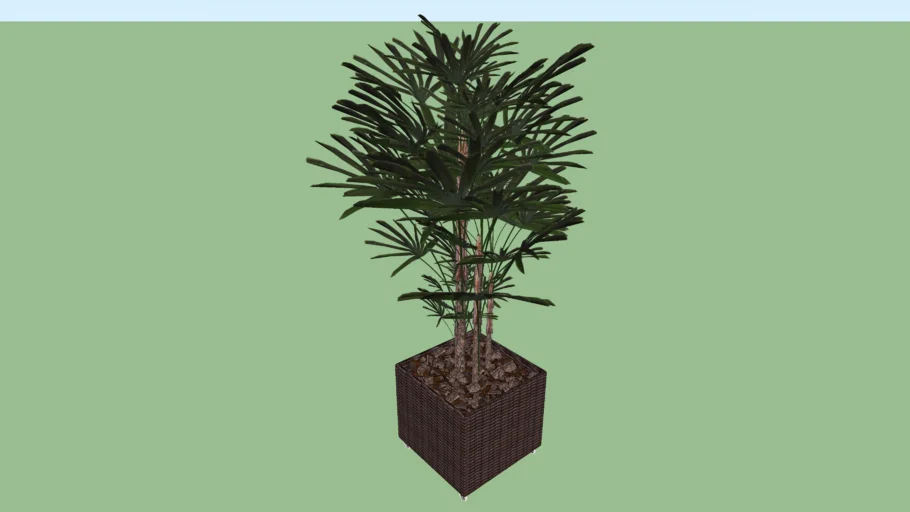 vaso de planta
