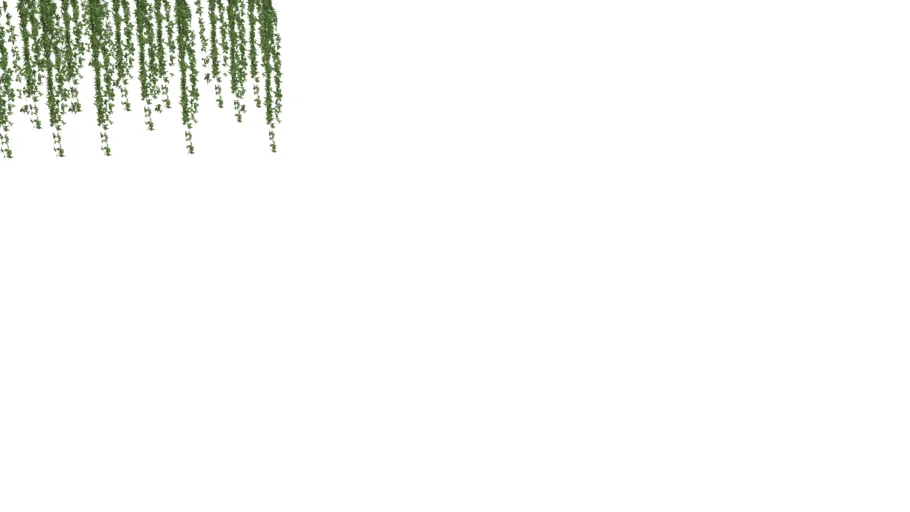 Hanging plants 1
