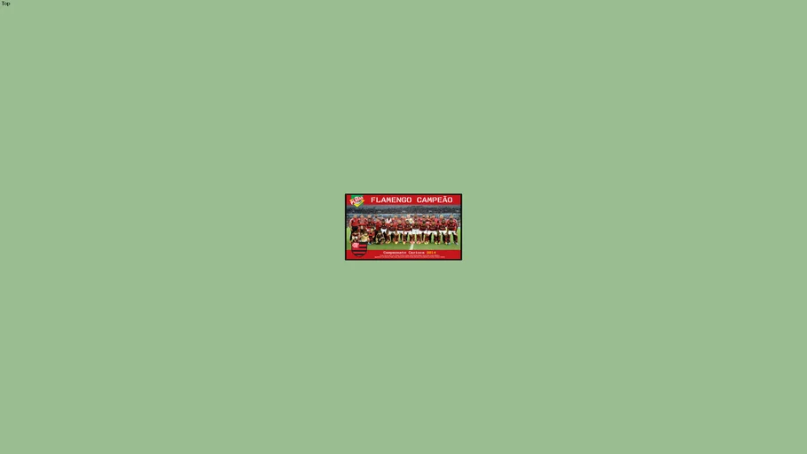 Quadro Flamengo