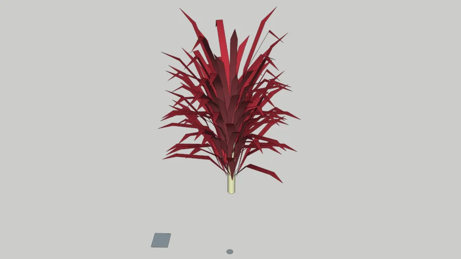 Cordyline fruticosa