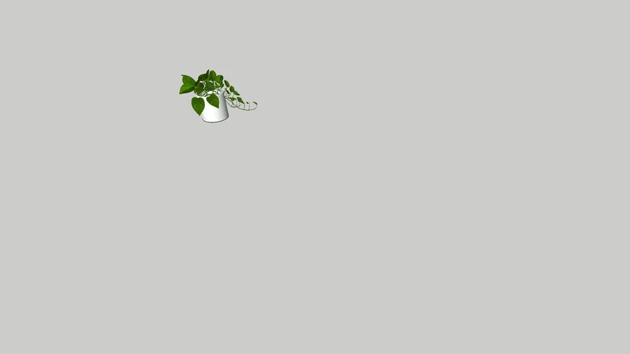 hanging plants