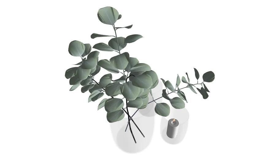 Glass vase with plant