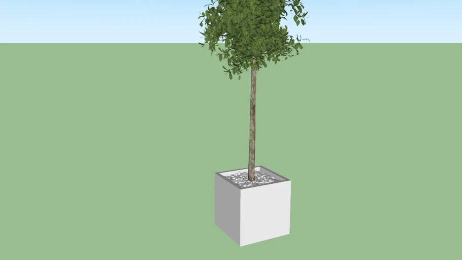 VASO PLANTA 1 