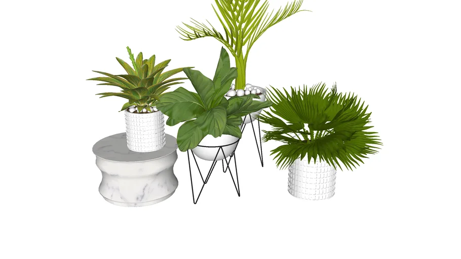 Plantas decoração