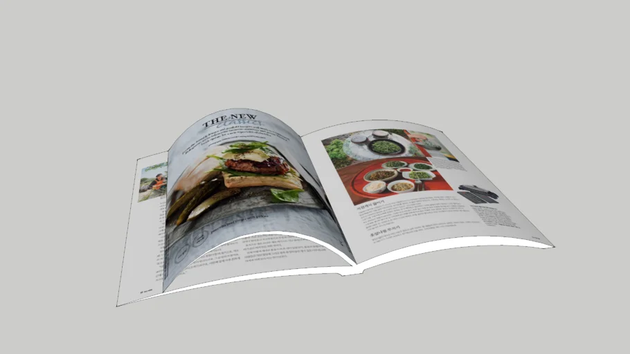 magazine