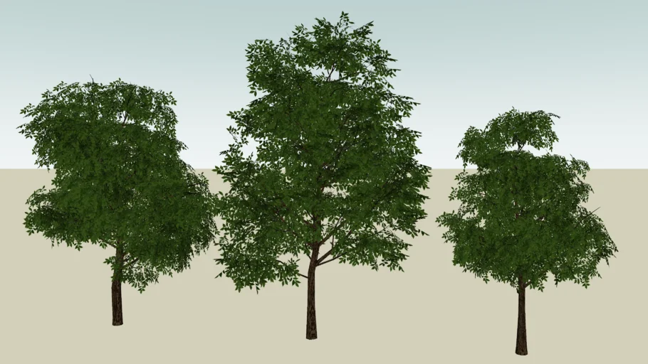 Árvores 3D (Trees)