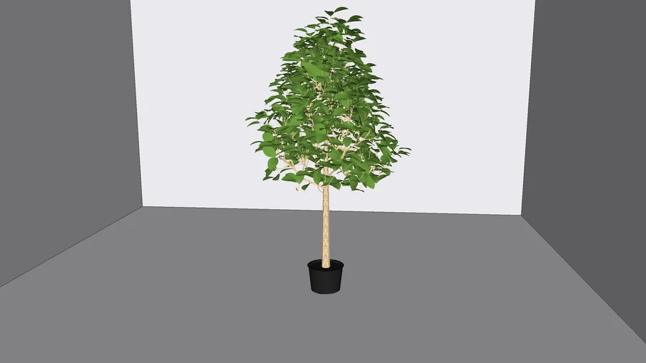 IKEA-PLANT-FEJKA-WEEPING PIG